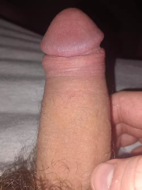 Would u let it get hard in ur mouth (men only)