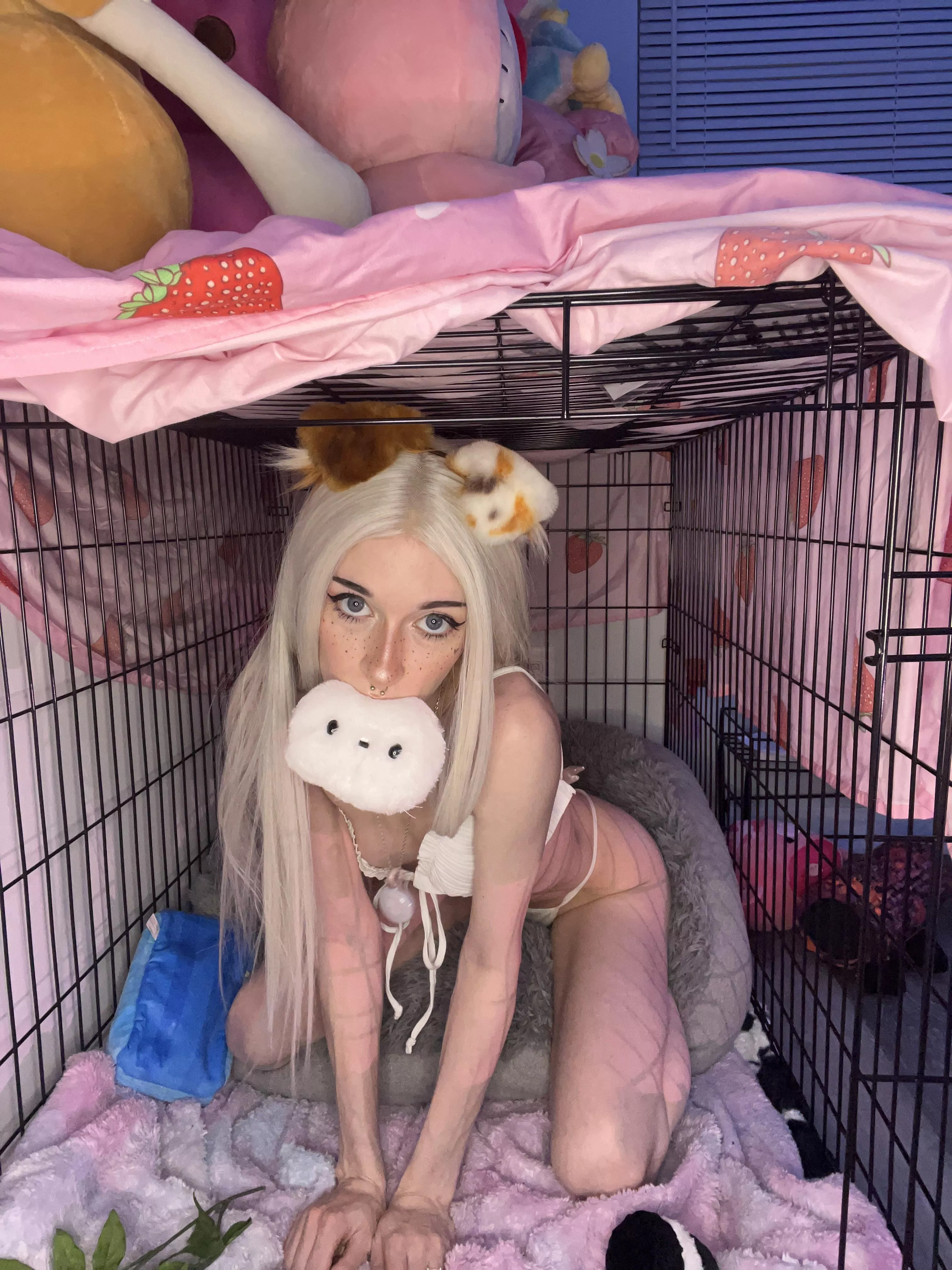 Would you let me out of the cage please? :3