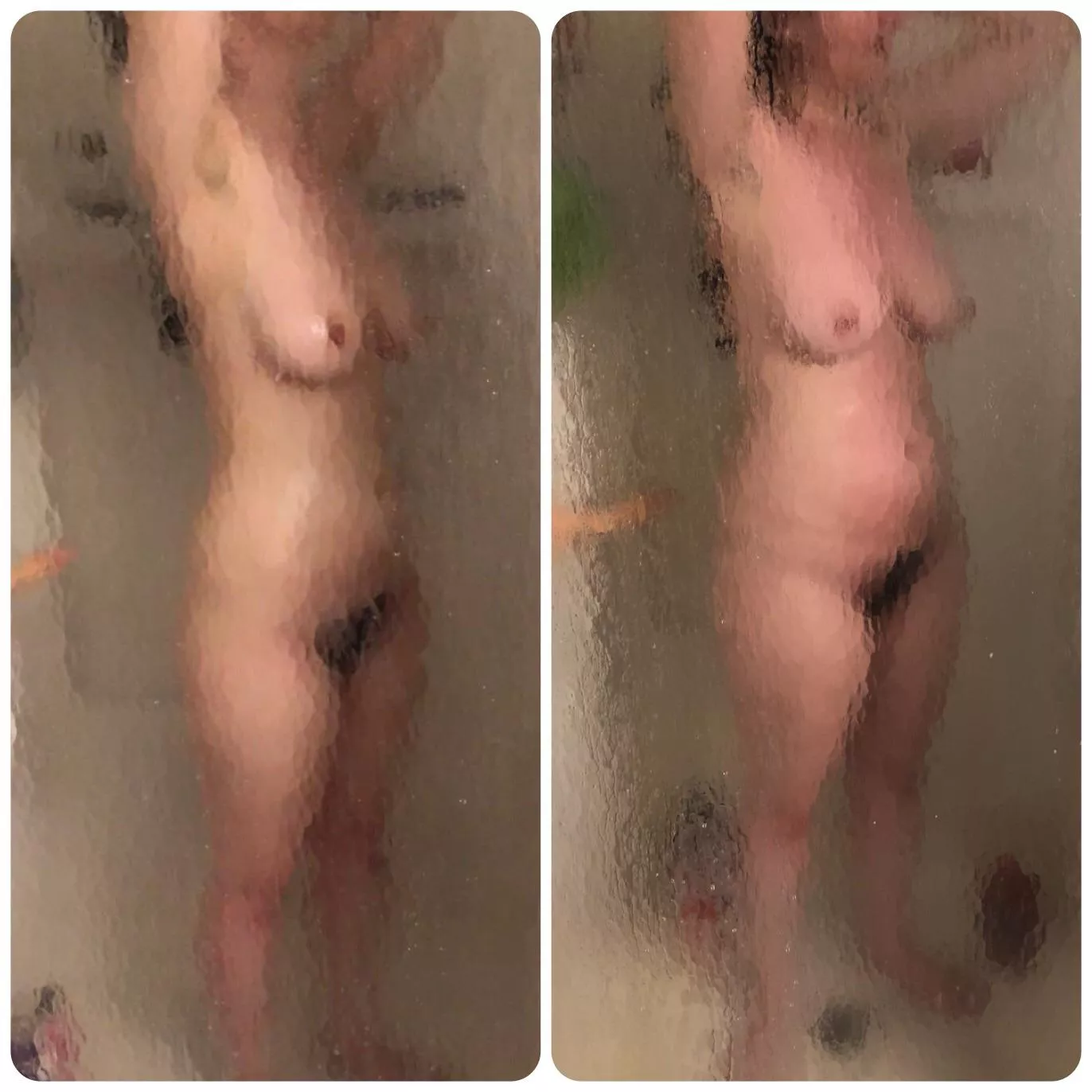 0 weeks versus 8 weeks pregnant, gorgeous first time mom courtesy of our bull donor