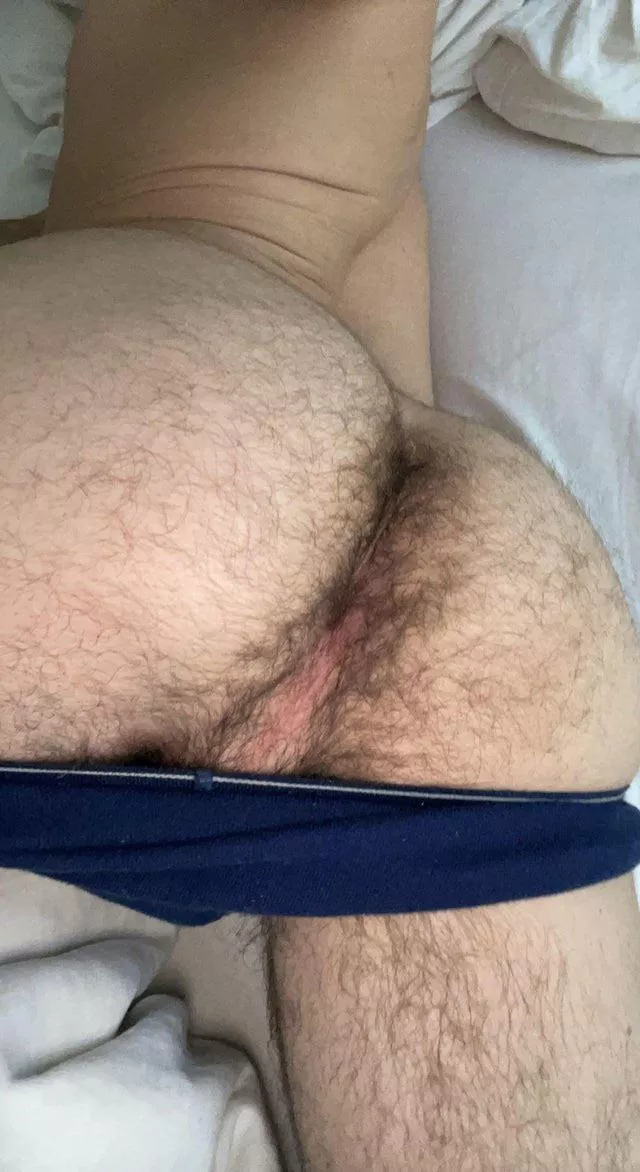 25 m snap goonshrimp