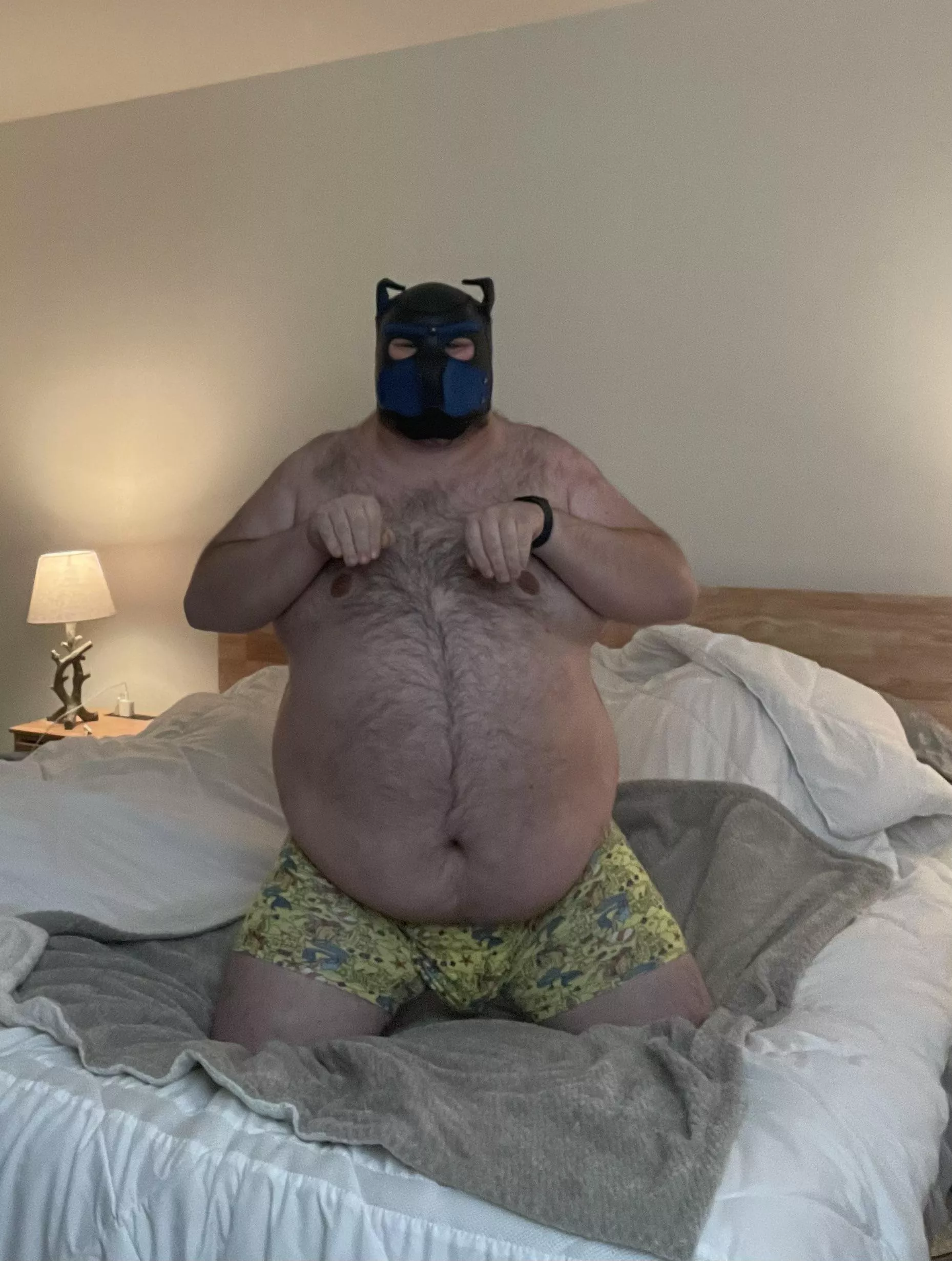 (41) pup bear. Hope you like the belly. I’m sitting pretty. I is a good pup.