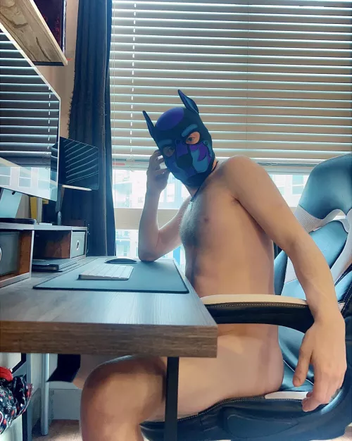 Anyone else enjoy under-the-desk play?