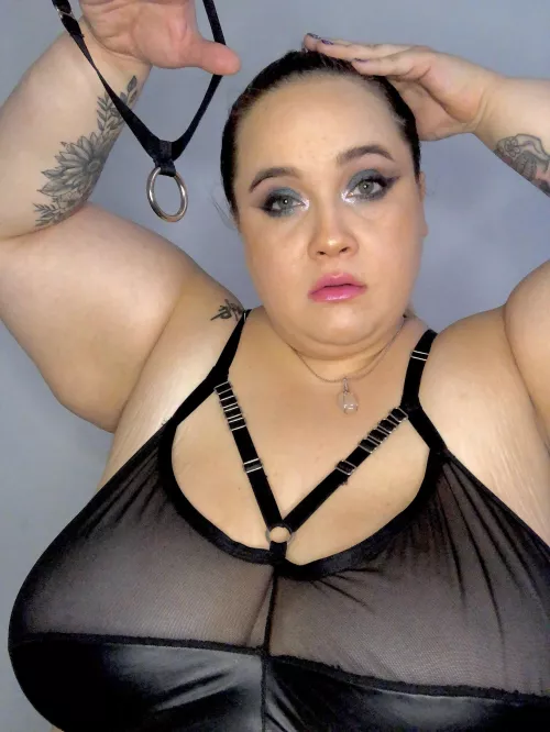 Come to mommy, I’ve got your collar ready to put you in place