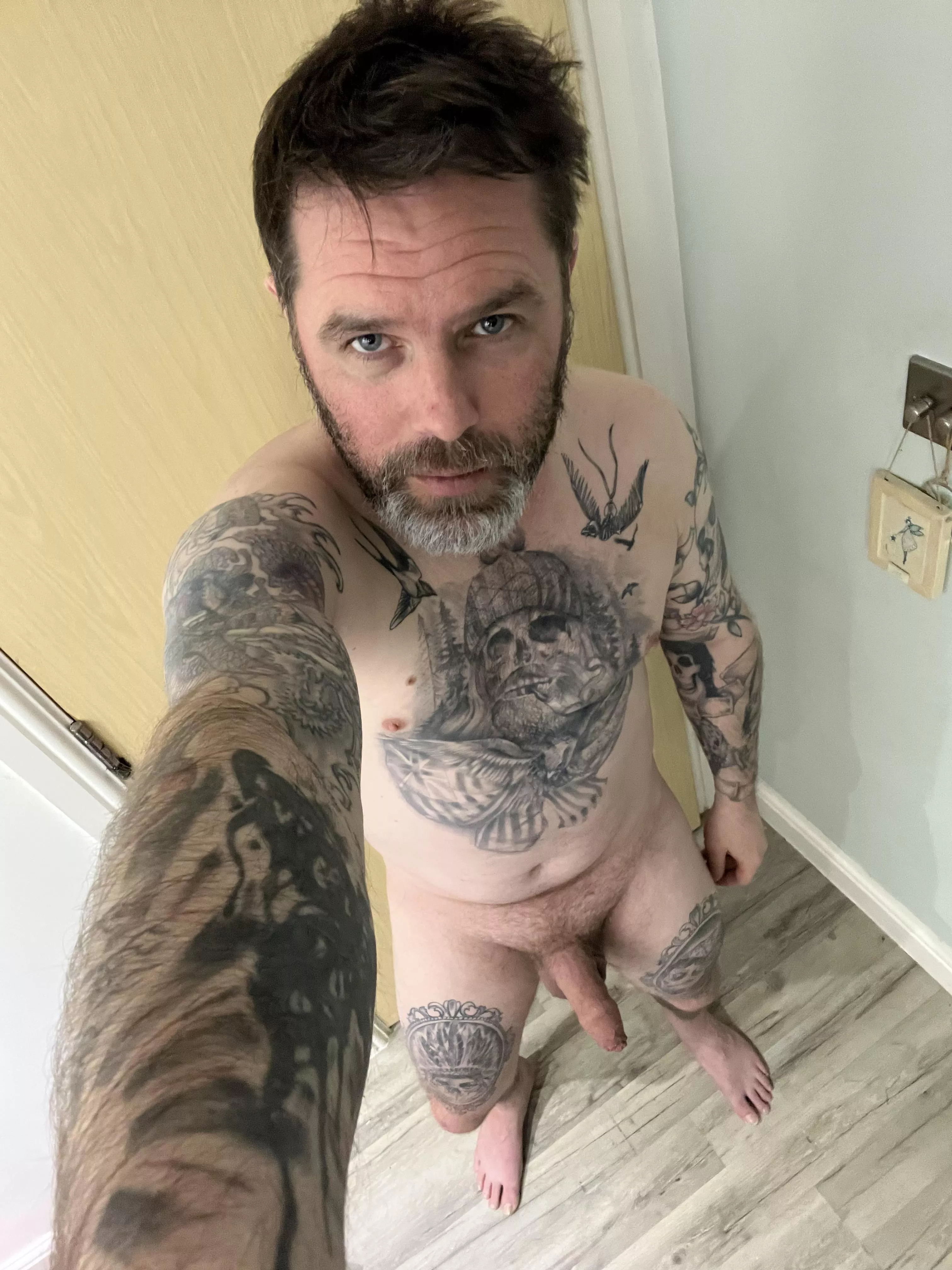Felt like one more post [41]