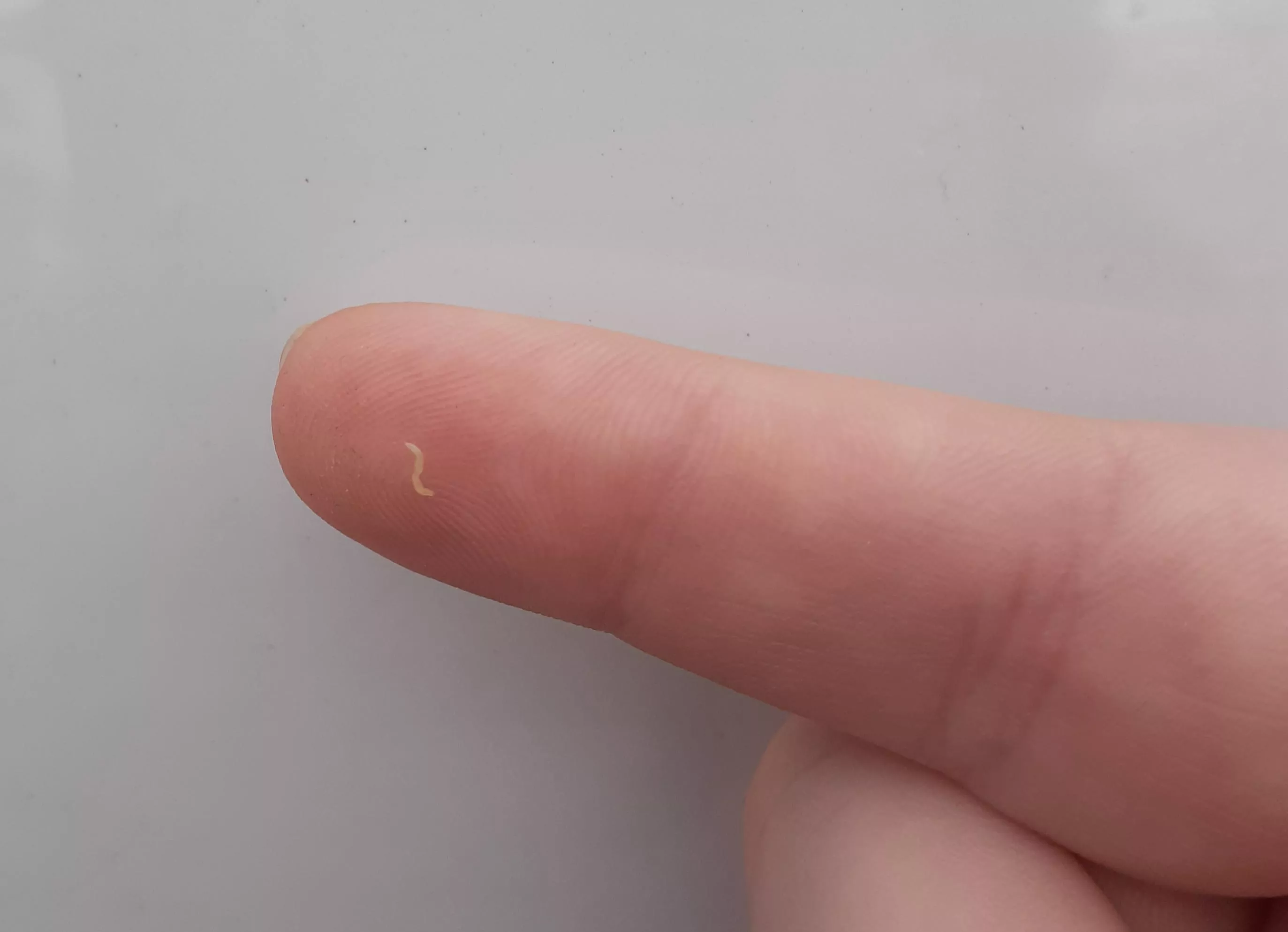 Got myself a haul from a hidden little lip bastard.