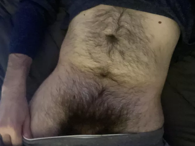 Have I mentioned how hairy I am