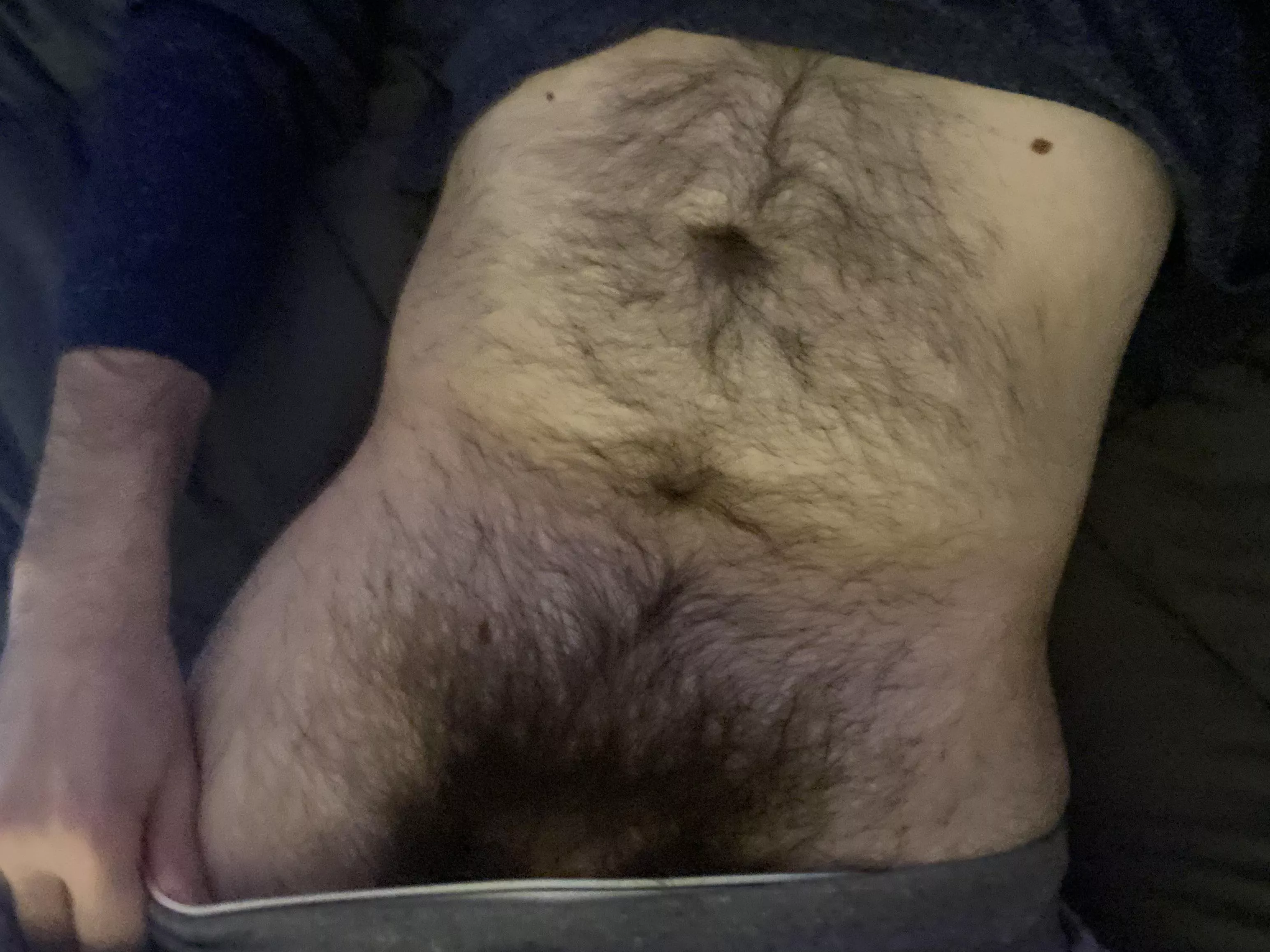 Have I mentioned how hairy I am