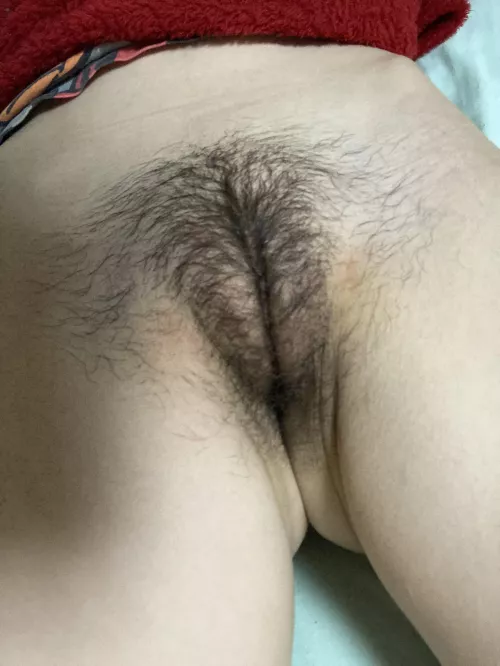 Hello hairy pussy looovers