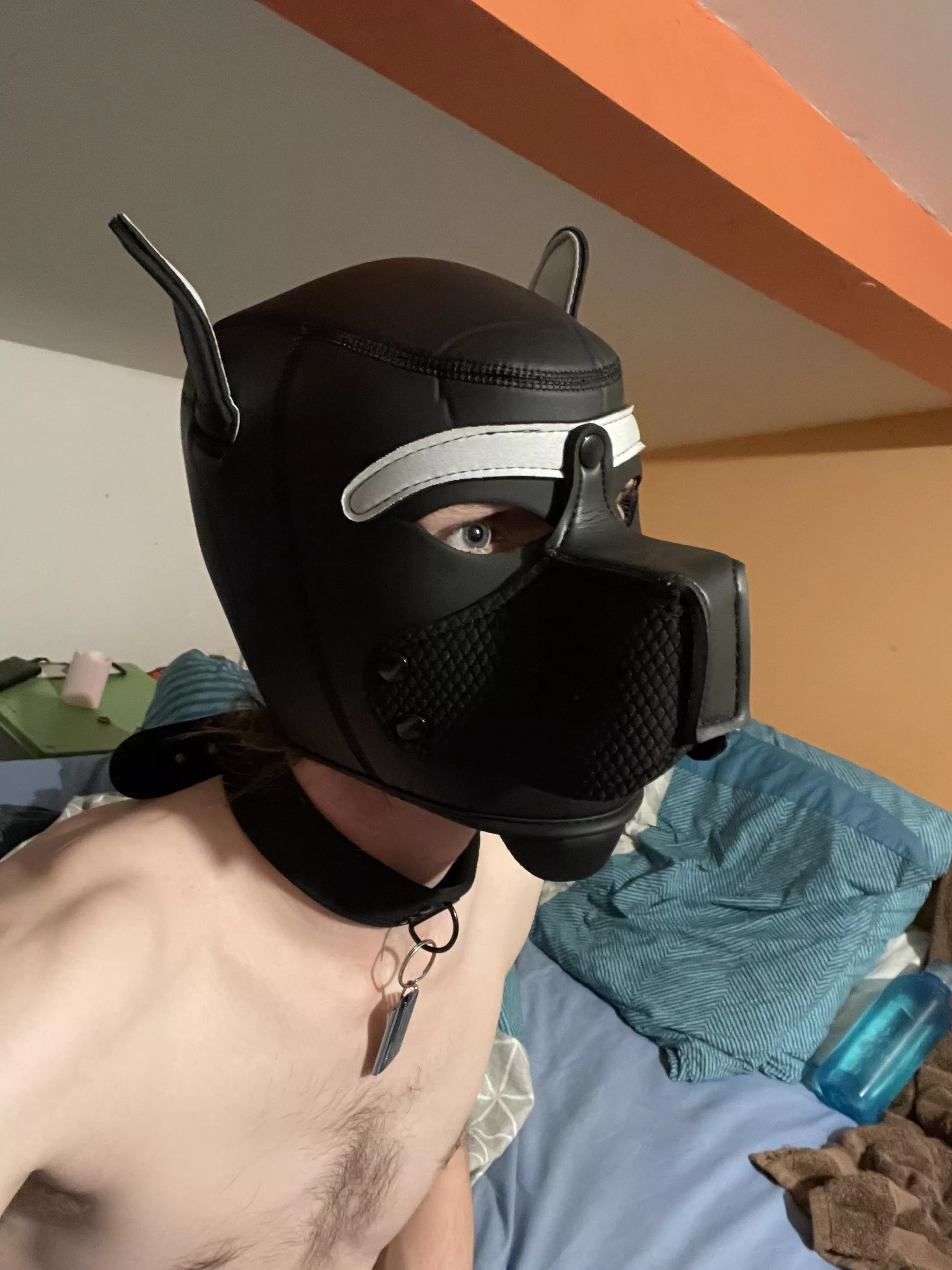 here is the new hood of Reco