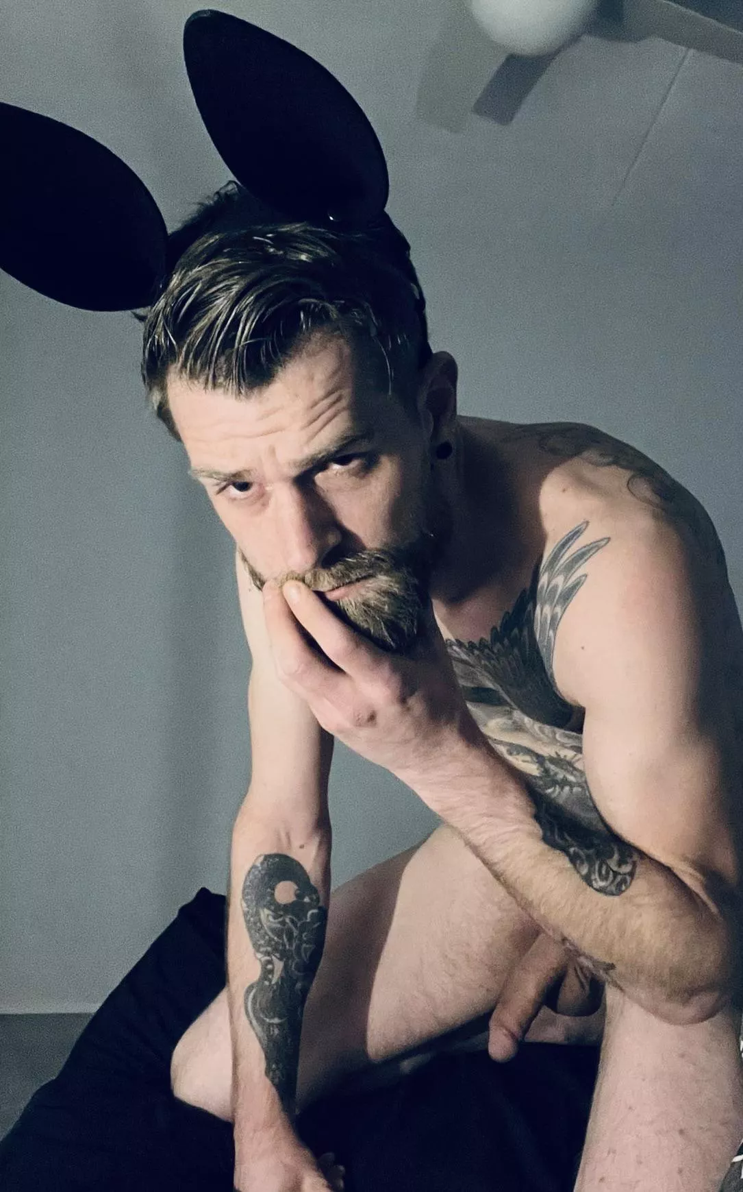 Just working from home and thought lets post a pic.