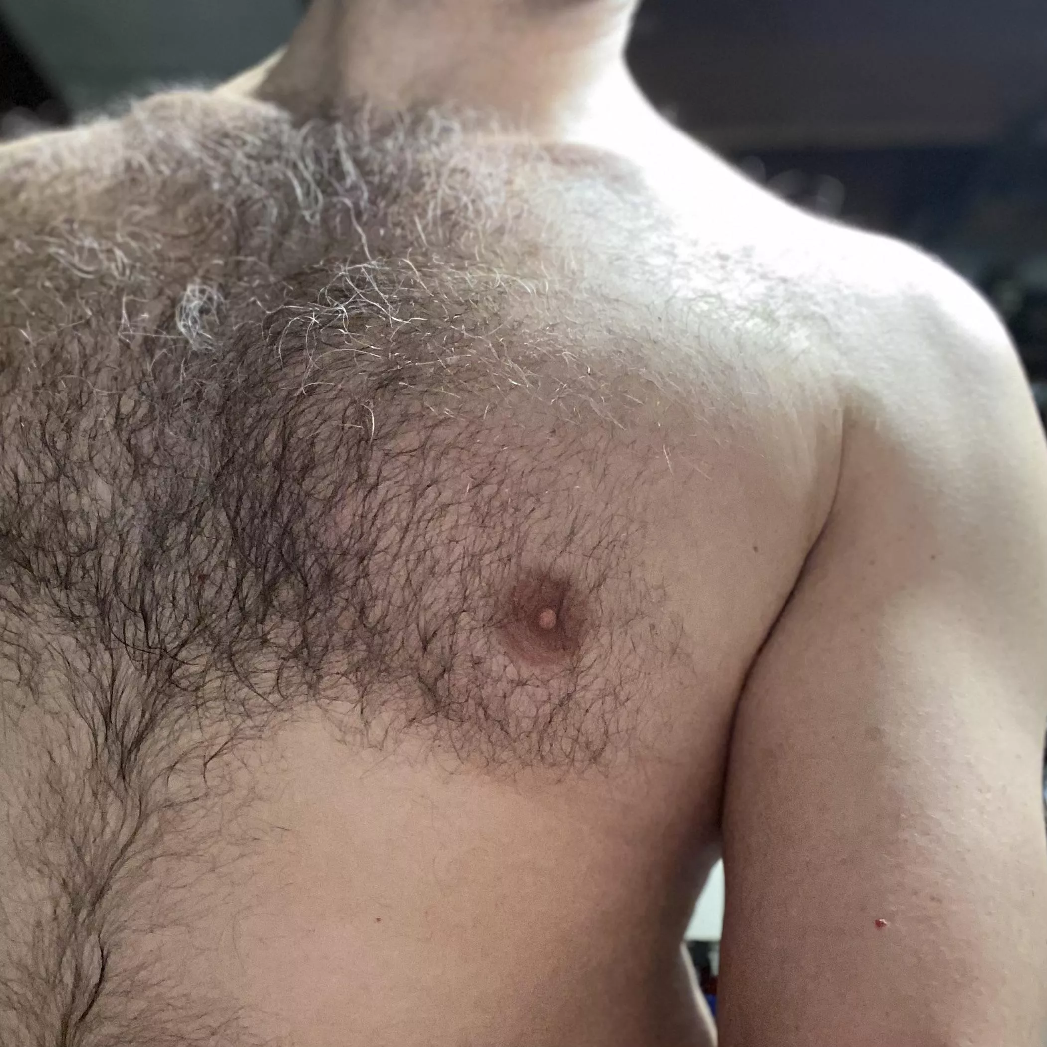 Little gray hairs everywhere 👀