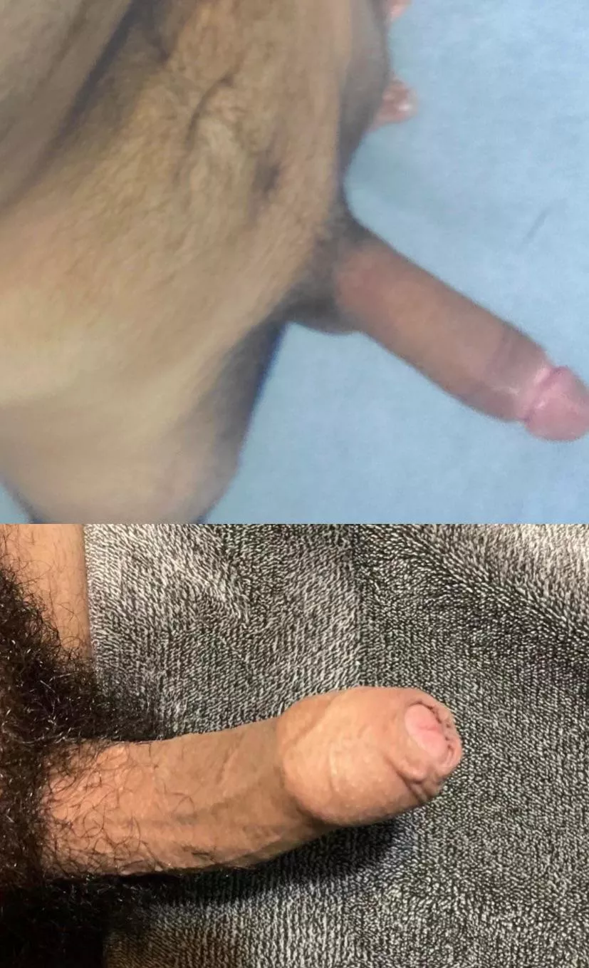 lost bet to u/New-Bumblebee-3044 on top and mine on bottom