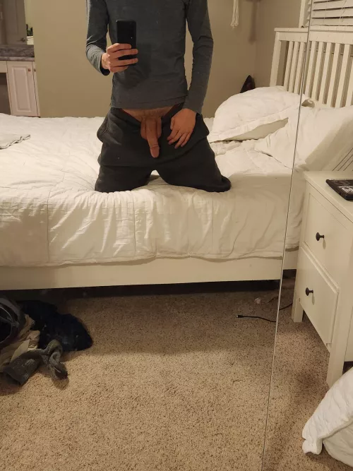 my mirrors give the perfect view