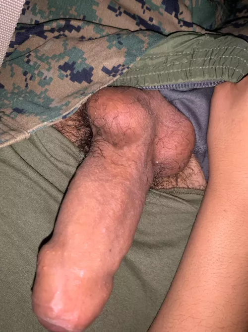 Roommate is taking his shower but I wish I had a roommate that sucks me dick after work