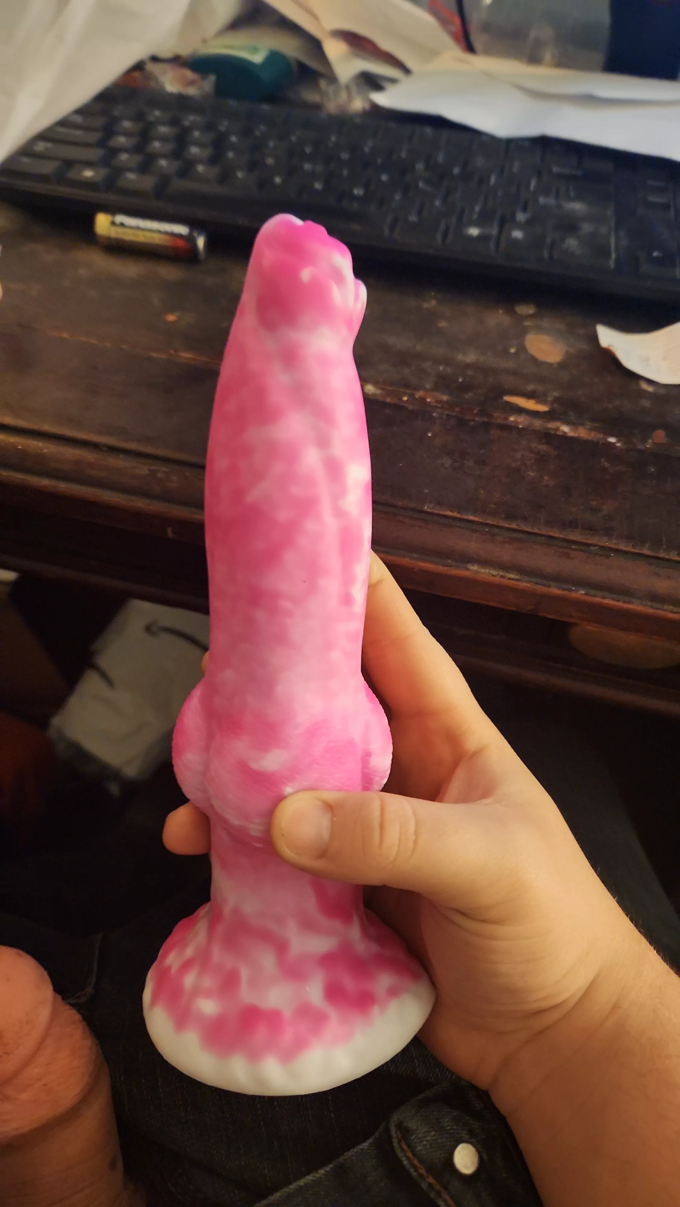 this pup has a new plaything