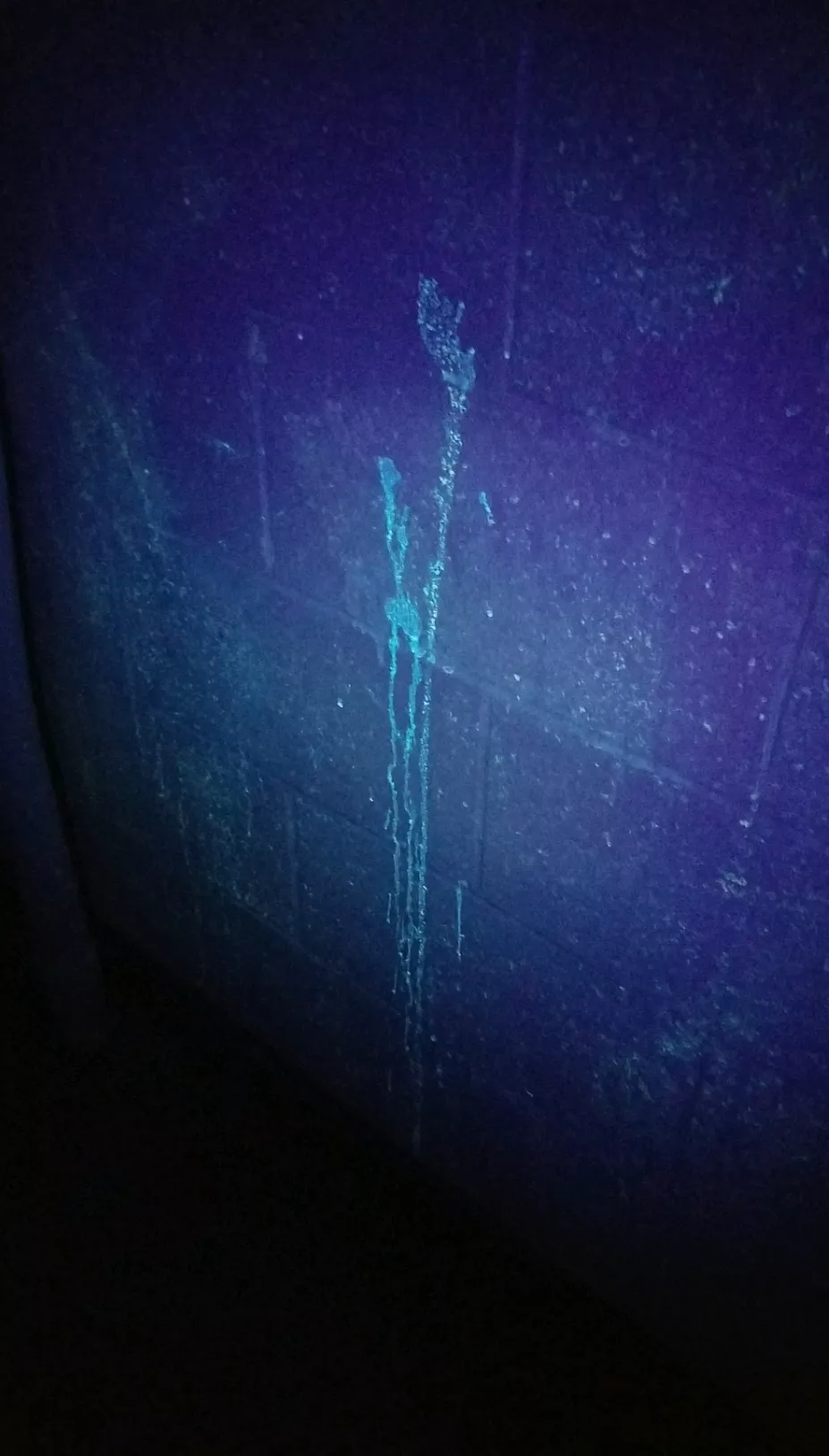 This waist high stain was found with a blacklight flashlight in the uni bathroom. I'd love to walk in right after it happened.