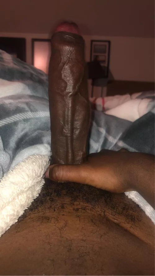 Veiny bbc