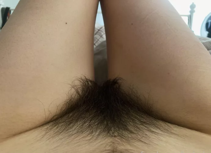 Would you take good care of my bush?