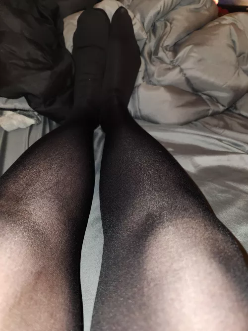 Would you worship my nylon encased feet?