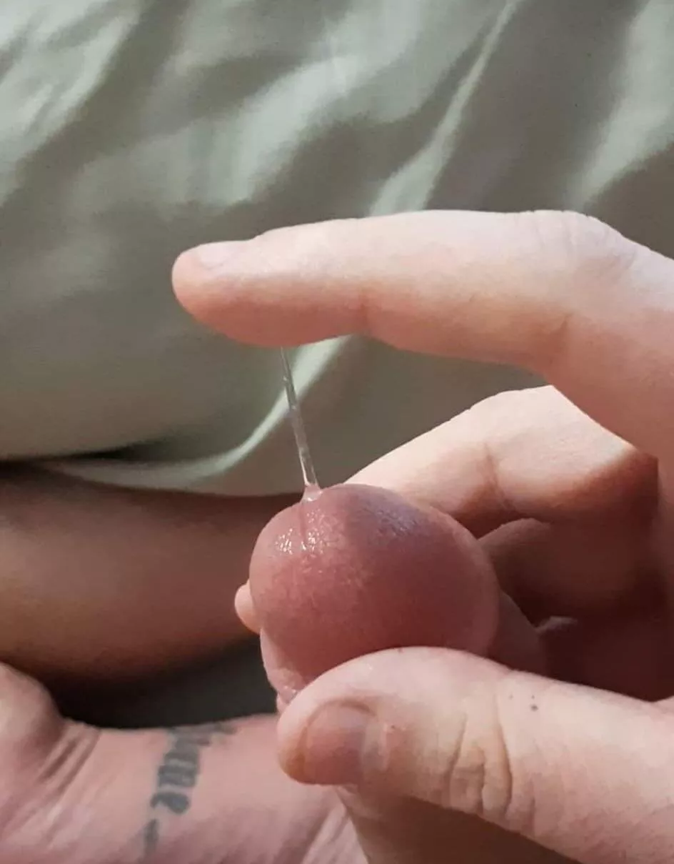 40 m usa. top. dirty chat. trade pics/vids. kinks. taboo. hmu h_guys226255