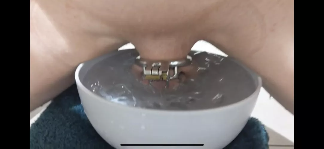 Ambrose took a little ice bath today to unfreeze his time 🧊