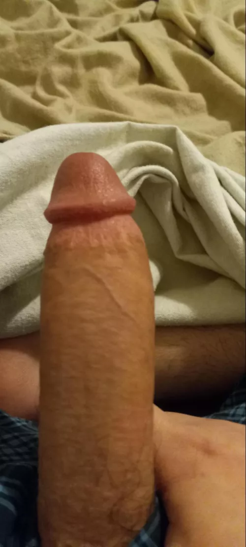 anyone wanna compare?