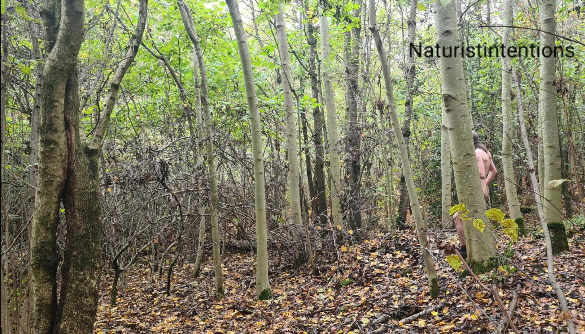 Been a minute, but I'm still out here