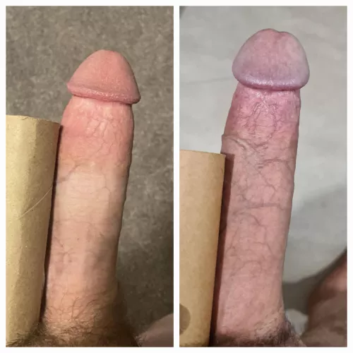 Cock brothers what do you guys think?