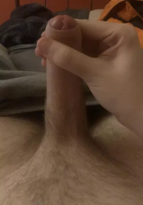 Cock pic