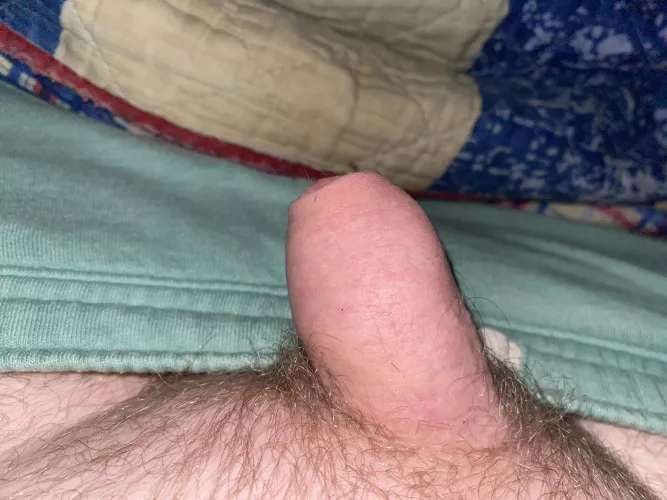 (DMs open) soft foreskin