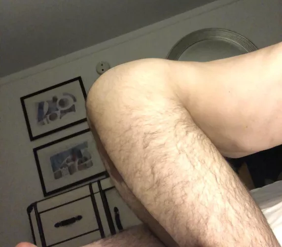 Do bears like otters?