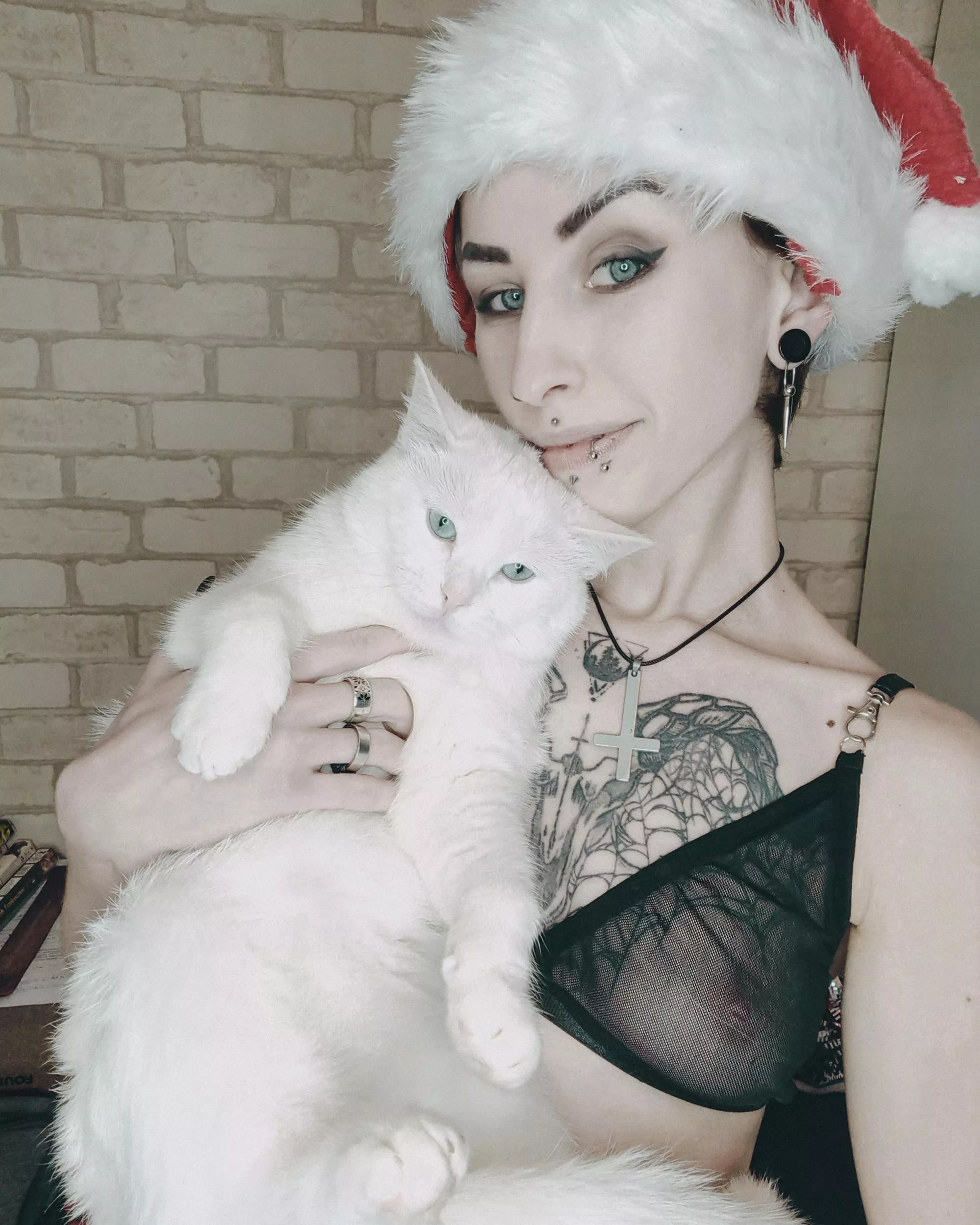 Do you like my kitty