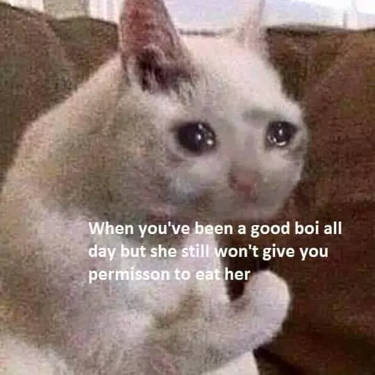 Feelsbadman 🥺