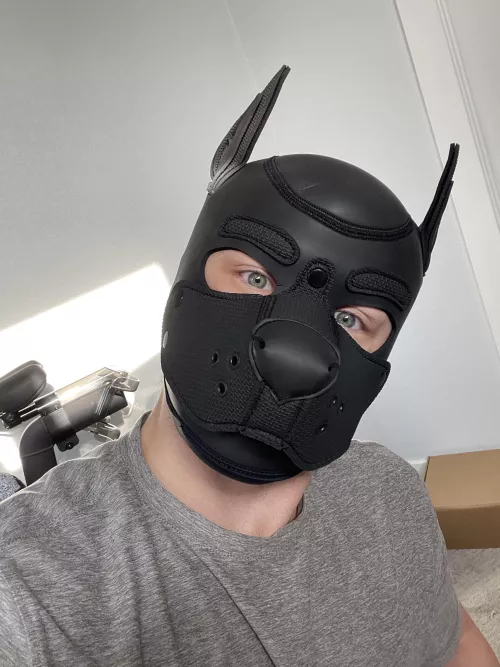 Got my first pup hood. Awrooo!