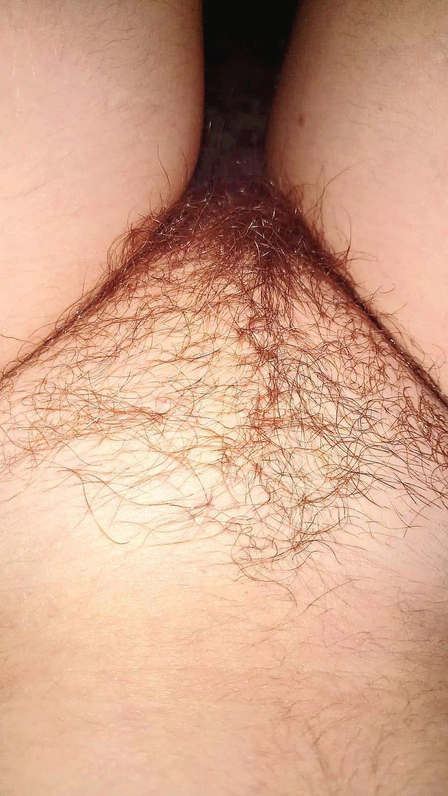 Hairy enough?