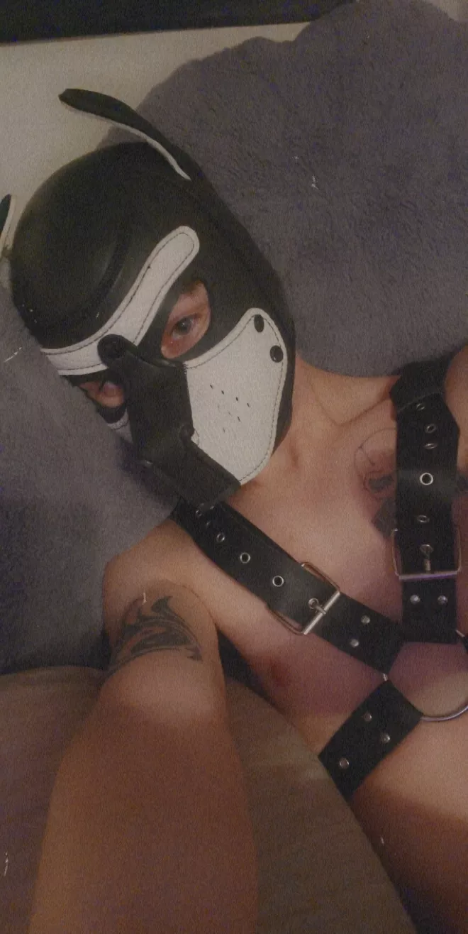 Happy Wednesday eveypup. Hope it's puptastic!!!!