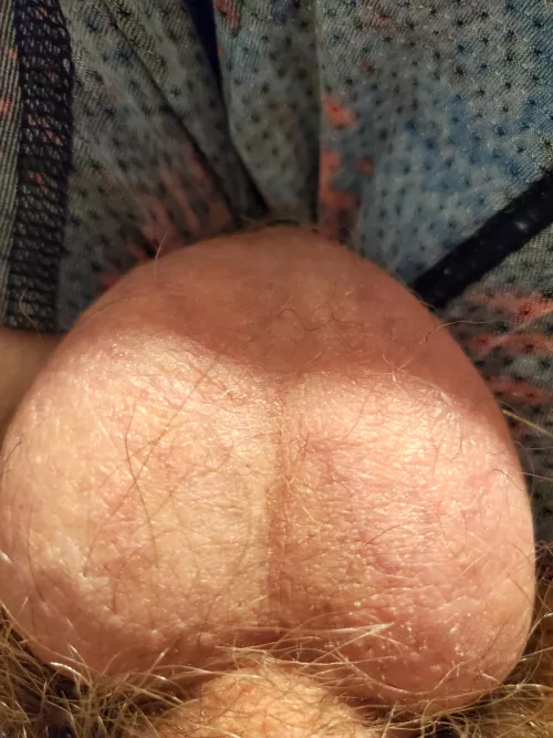 Here's a heart for Valentine's day😜