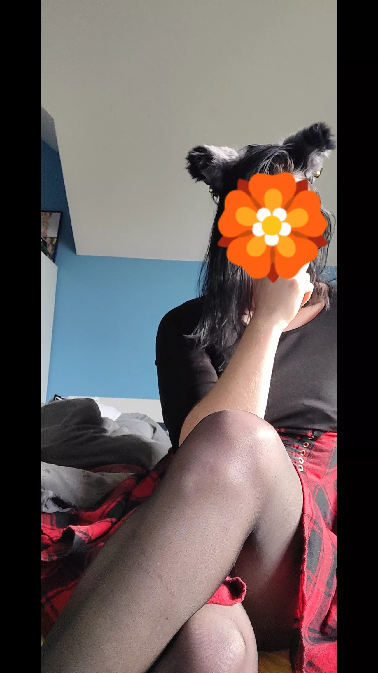 I am new to presenting myself online, will take some time to be comfortable around here🏵️