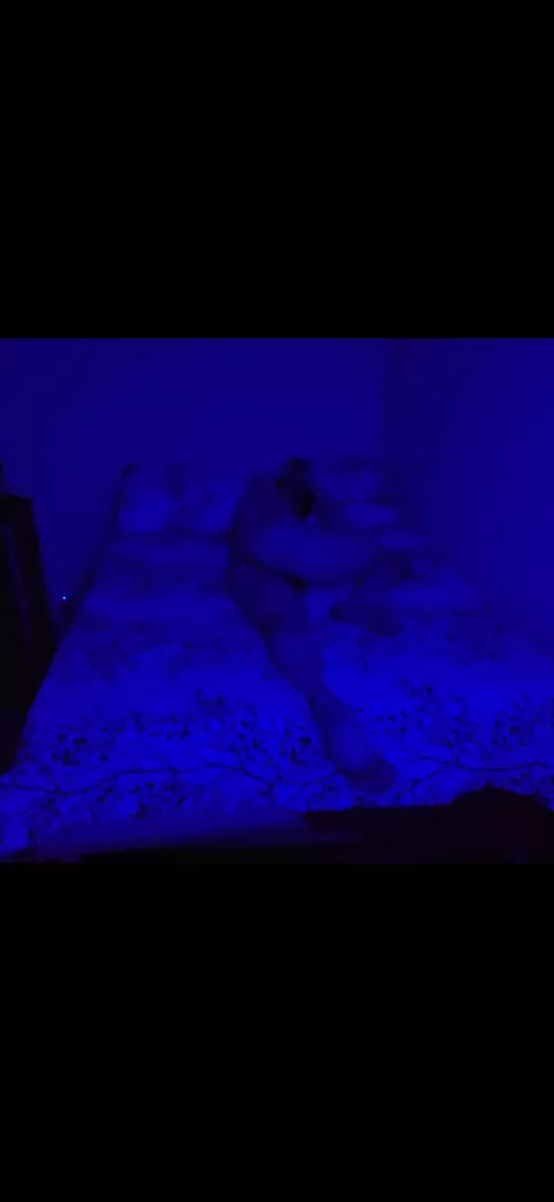 I'm blue, Da Bo De Da Bo Da