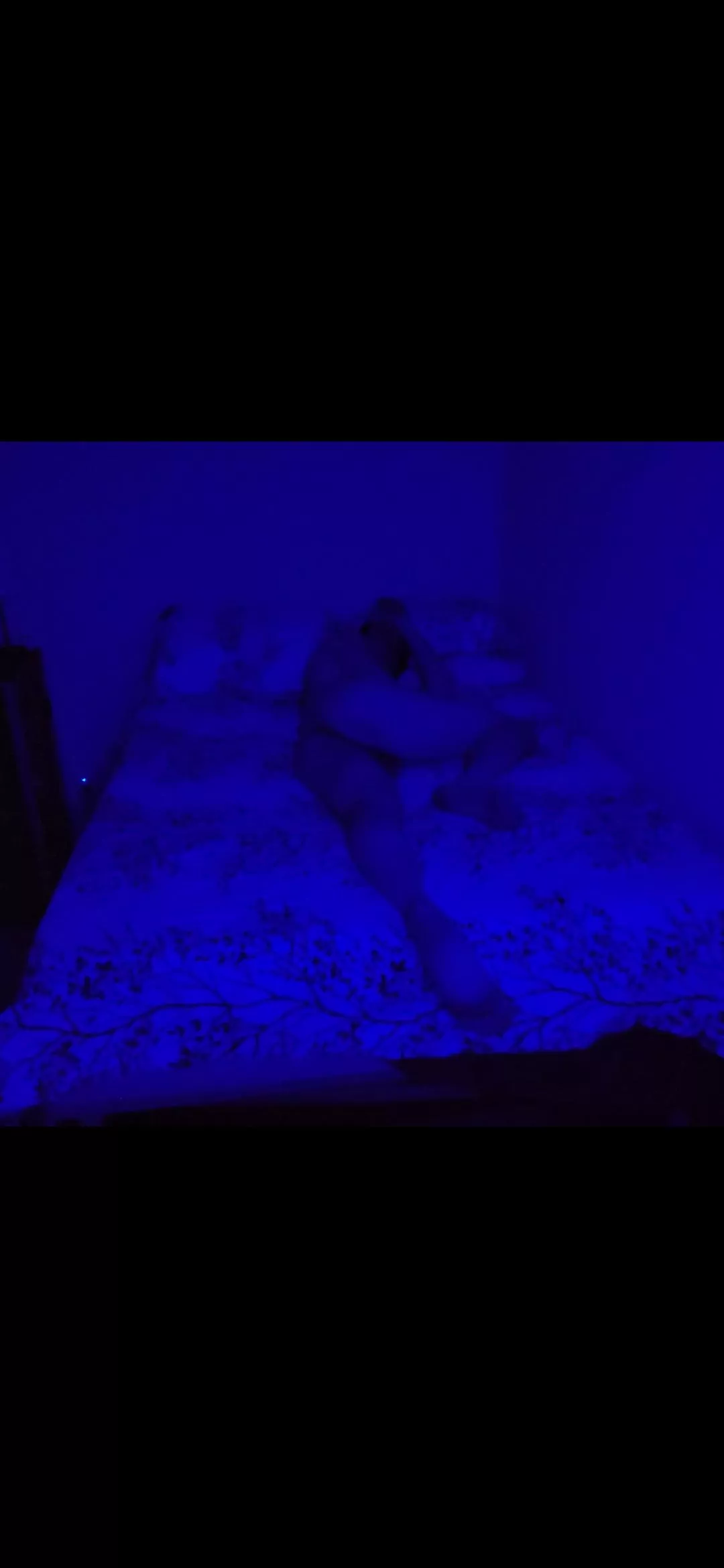 I'm blue, Da Bo De Da Bo Da