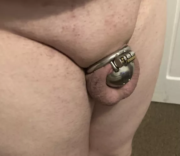 In desperate need of someone to keep my sissy clitty locked