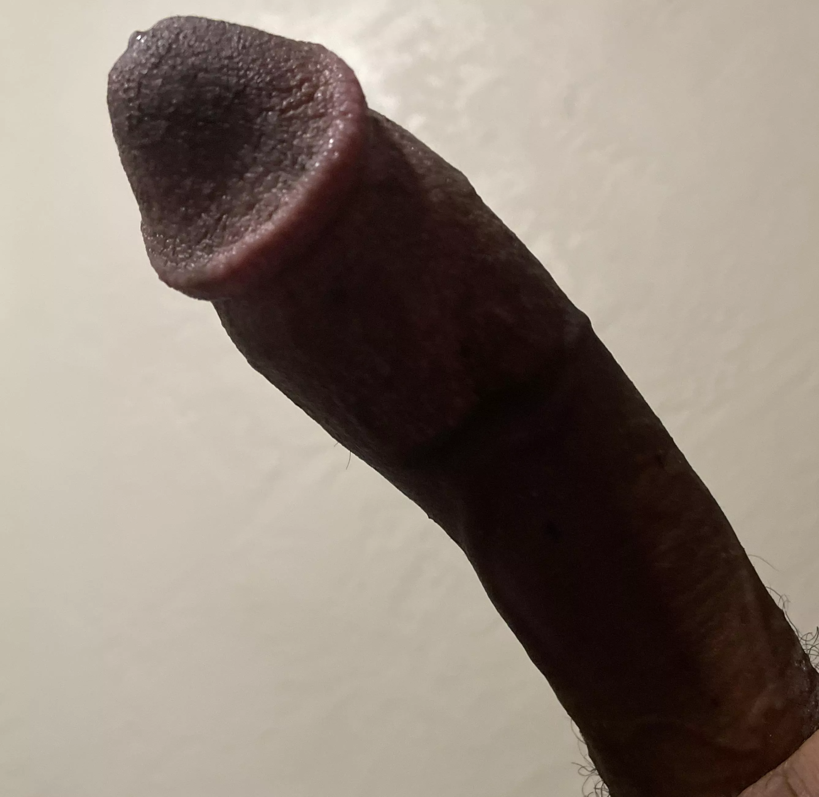 Is there such thing as perpetually horny?