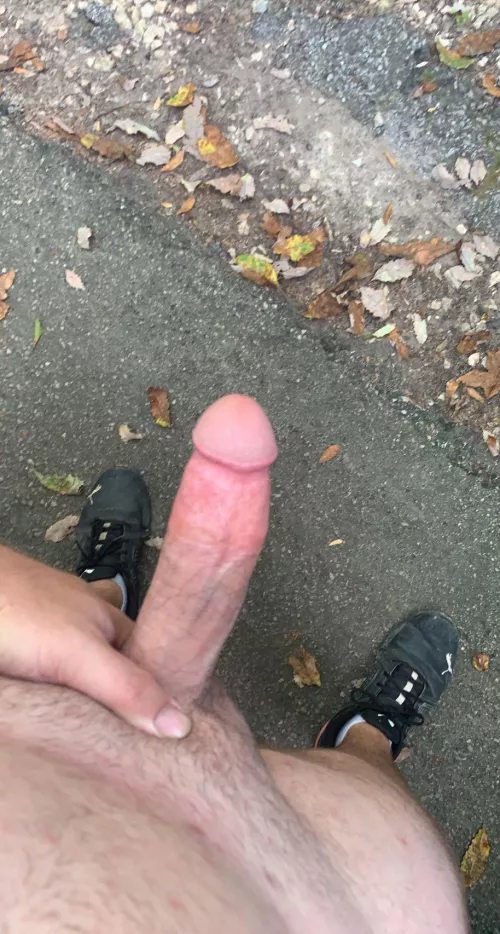 Just out for a walk.