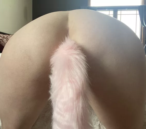 Love my tail I need more