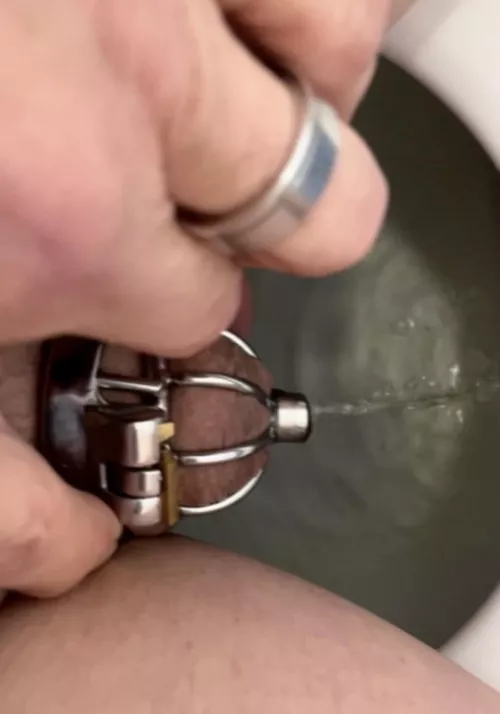 Mmm… peeing in my cage…