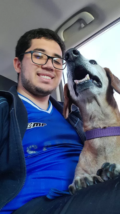 My companion isn't used to car rides. Any tips for taming?