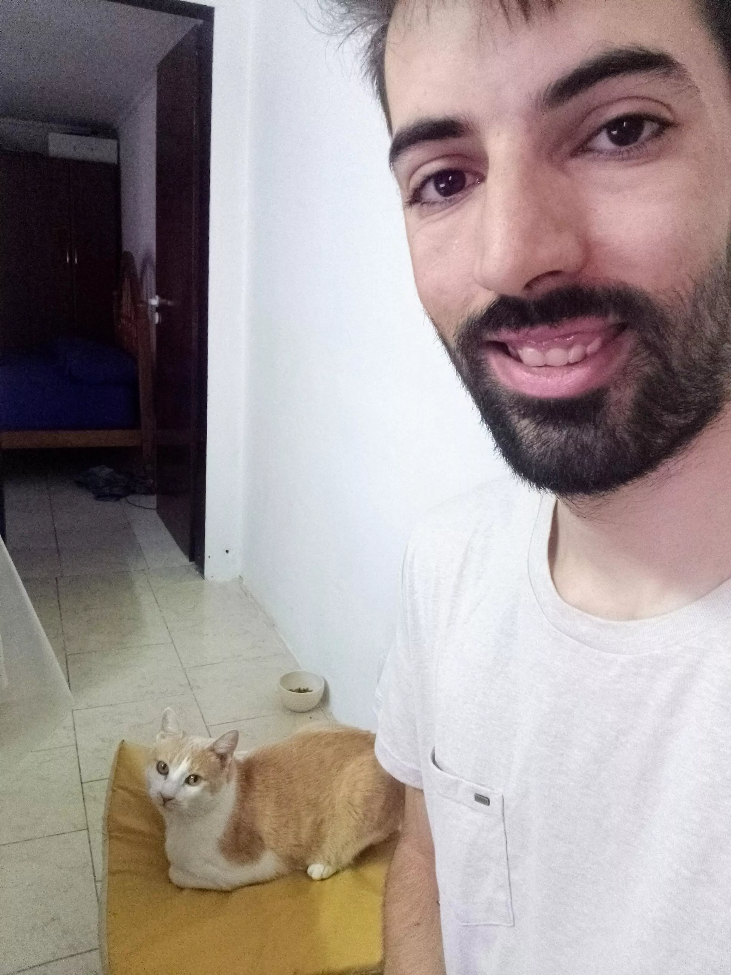 The best company to study on a rainy day