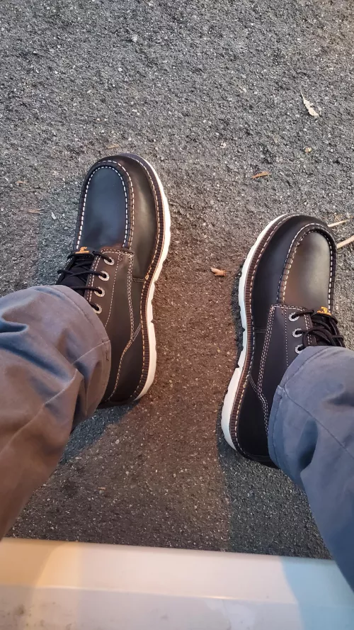 they will never look this clean again