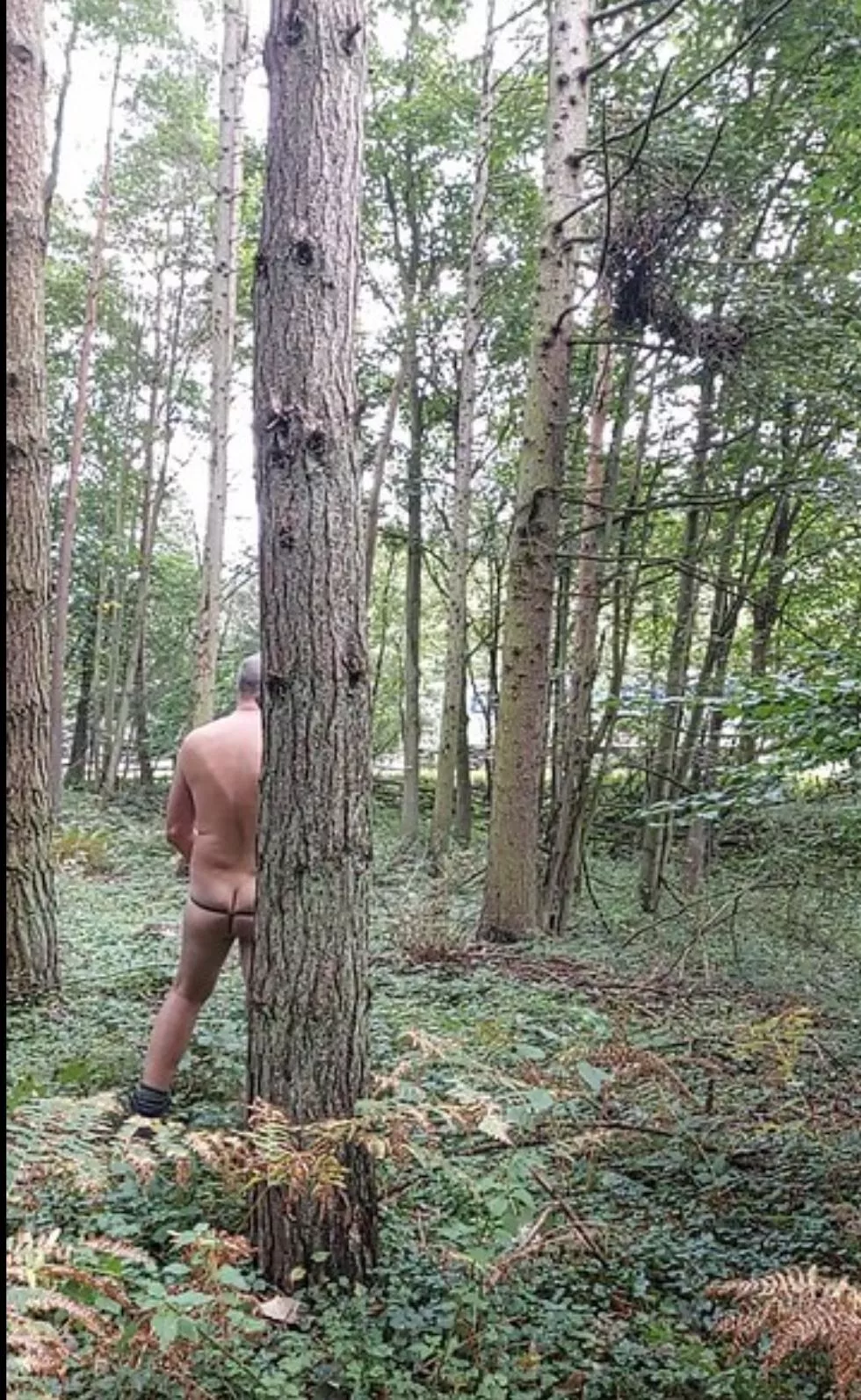 waiting to be found in the local woods