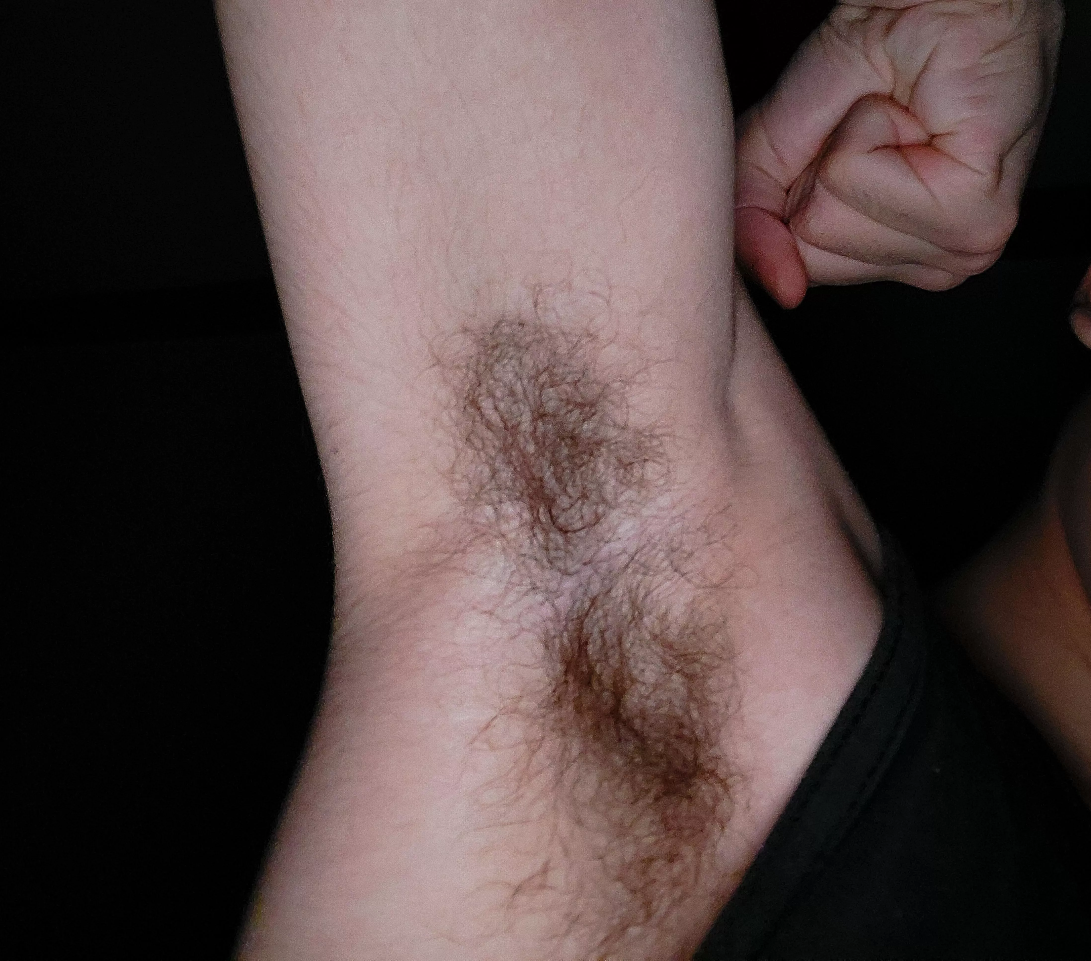 what first? sniff or lick?